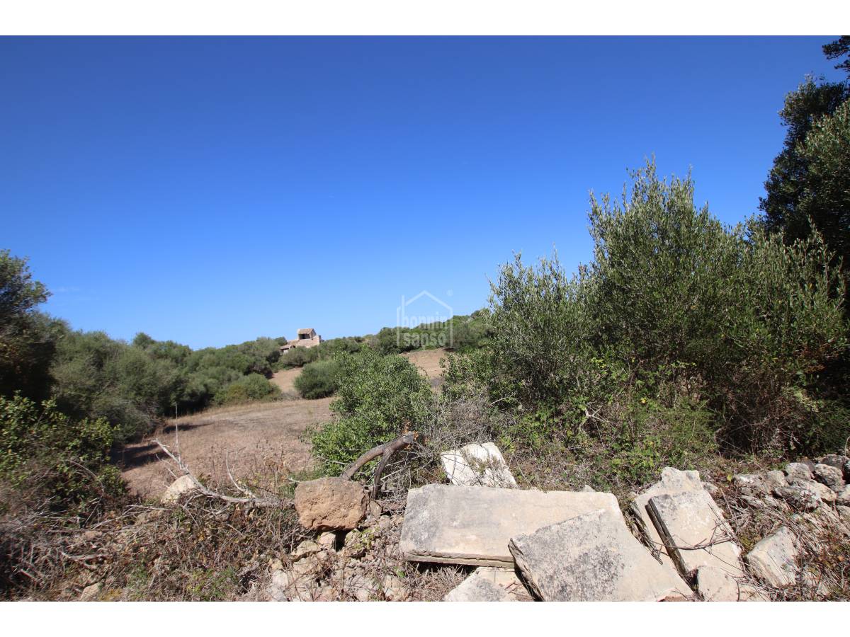 Terreno a Alaior, Menorca, Spagna 779 mq. N° 65348