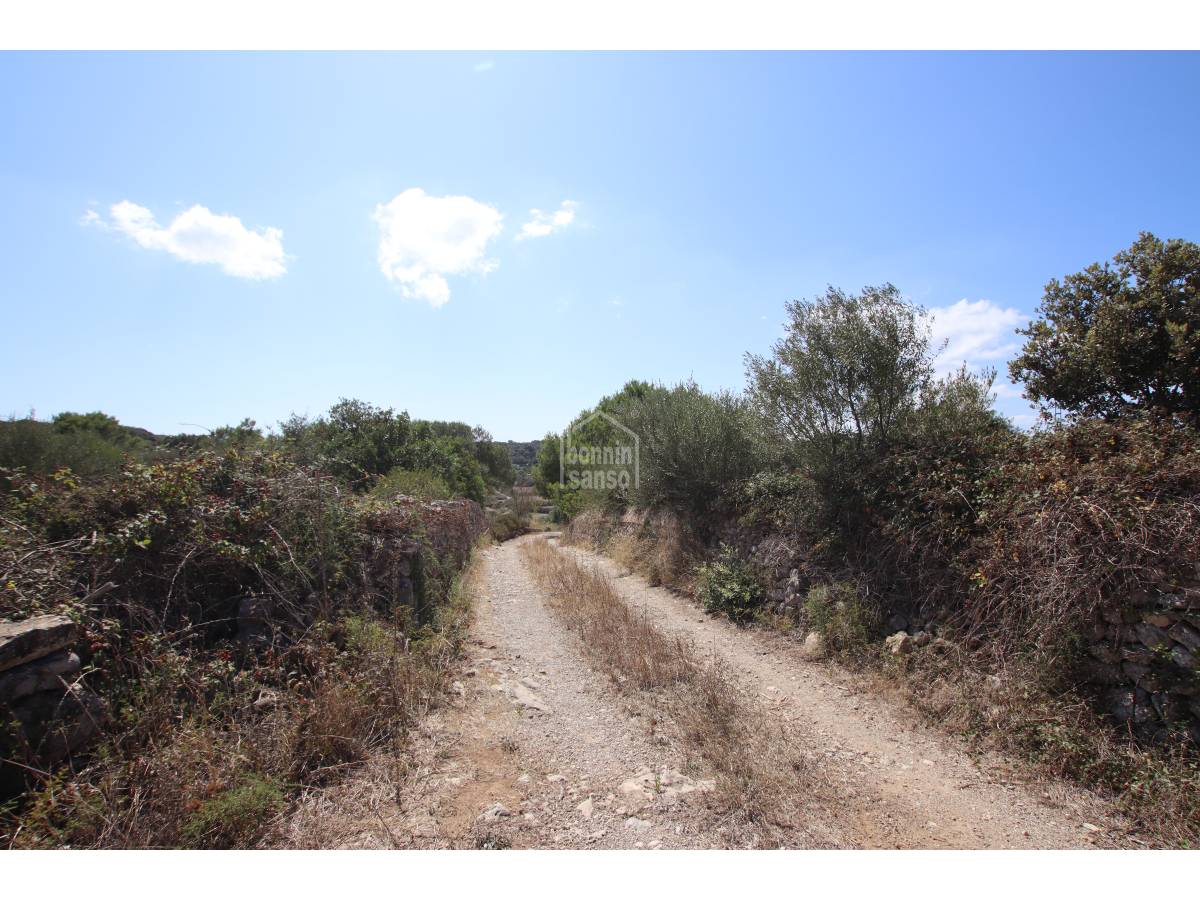 Terreno a Alaior, Menorca, Spagna 779 mq. N° 65348