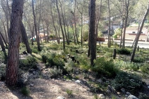 Terreno in vendita a Olivella, Barcelona, Spagna N° 191257 - foto 2