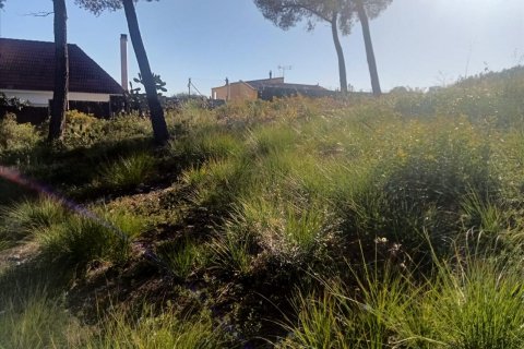 Terreno a Olivella, Barcelona, Spagna N° 191255