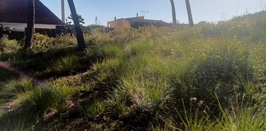 Terreno a Olivella, Barcelona, Spagna N° 191255