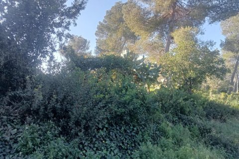 Terreno in vendita a Olivella, Barcelona, Spagna N° 191255 - foto 3