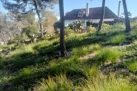 Terreno in vendita a Olivella, Barcelona, Spagna N° 191255 - foto 2