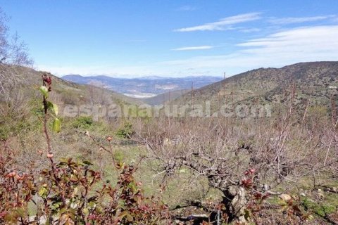 House for sale Sierro, Almeria, Spain 9 bedrooms, 320 sq.m. No. 113813 - photo 25