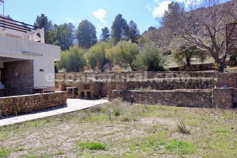 House for sale Sierro, Almeria, Spain 9 bedrooms, 320 sq.m. No. 113813 - photo 21