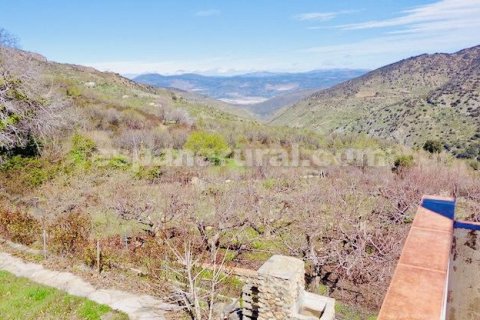 House for sale Sierro, Almeria, Spain 9 bedrooms, 320 sq.m. No. 113813 - photo 24