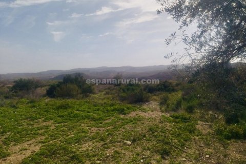 House for sale Sierro, Almeria, Spain 9 bedrooms, 320 sq.m. No. 113813 - photo 27
