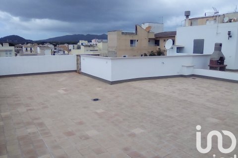 Komerciāls īpašums pārdošanā Capdepera, Mallorca, Spānijā 828 m2 Nr. 153575 - attēls 16
