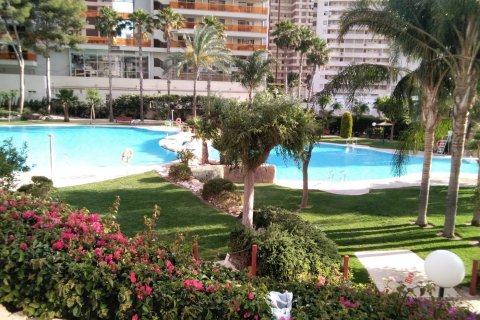 Wohnung zum Verkauf in Benidorm, Alicante, Spanien 3 Schlafzimmer, 160 m2 Nr. 196708 - Foto 2