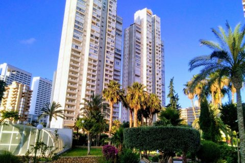 Apartment in Benidorm, Alicante, Spain 3 bedrooms, 160 sq.m. No. 196708