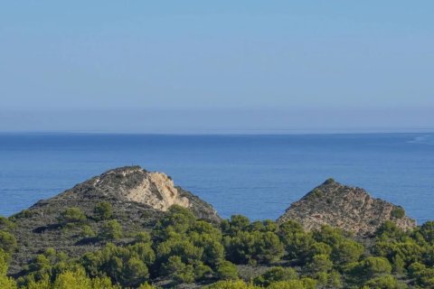 Duplex for sale in Javea, Alicante, Spain 3 bedrooms, 118 sq.m. No. 180512 - photo 5