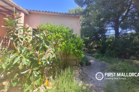 Finca for rent in Bunyola, Mallorca, Spain 4 bedrooms, 140 sq.m. No. 168666 - photo 20