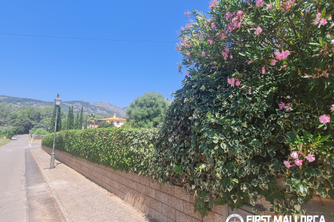 Finca for rent in Bunyola, Mallorca, Spain 4 bedrooms, 140 sq.m. No. 168666 - photo 20