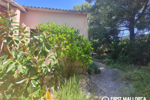 Finca for rent in Bunyola, Mallorca, Spain 4 bedrooms, 140 sq.m. No. 168666 - photo 19