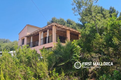 Finca for rent in Bunyola, Mallorca, Spain 4 bedrooms, 140 sq.m. No. 168666 - photo 19