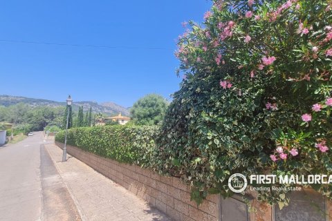 Finca for rent in Bunyola, Mallorca, Spain 4 bedrooms, 140 sq.m. No. 168666 - photo 21