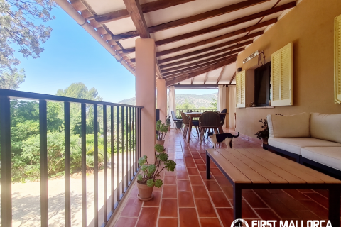 Finca for rent in Bunyola, Mallorca, Spain 4 bedrooms, 140 sq.m. No. 168666 - photo 4