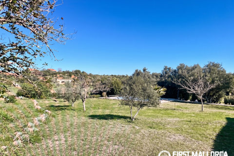 Finca for rent in Son Macia, Mallorca, Spain 4 bedrooms, 325 sq.m. No. 168669 - photo 27