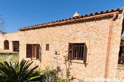 Finca for rent in Son Macia, Mallorca, Spain 4 bedrooms, 325 sq.m. No. 168669 - photo 5
