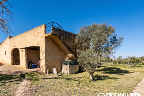 Finca for rent in Son Macia, Mallorca, Spain 4 bedrooms, 325 sq.m. No. 168669 - photo 25
