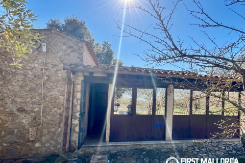 Finca for rent in Son Macia, Mallorca, Spain 4 bedrooms, 325 sq.m. No. 168669 - photo 18