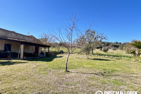 Finca for rent in Son Macia, Mallorca, Spain 4 bedrooms, 325 sq.m. No. 168669 - photo 24