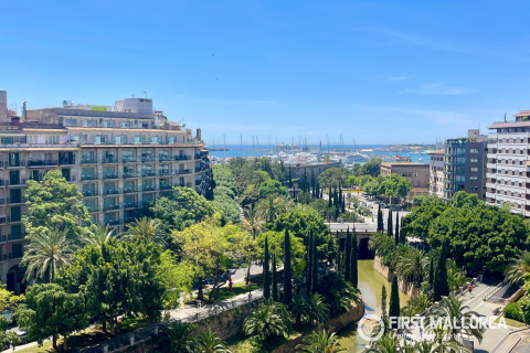 Wohnung zur Miete in Palma de Majorca, Mallorca, Spanien 4 Schlafzimmer, 167 m2 Nr. 168668 - Foto 21