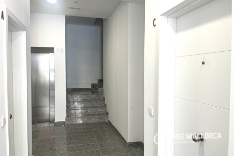 Apartamento en alquiler en Palma de Mallorca, Mallorca, España 2 dormitorios, 97 m2 No. 168667 - foto 13