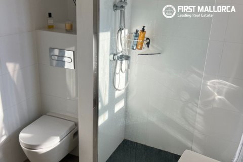 Penthäuser zur Miete in Palma de Majorca, Mallorca, Spanien 2 Schlafzimmer, 70 m2 Nr. 168664 - Foto 16