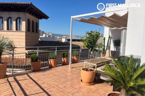 Penthäuser zur Miete in Palma de Majorca, Mallorca, Spanien 2 Schlafzimmer, 70 m2 Nr. 168664 - Foto 4