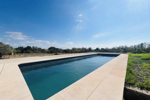 Finca zum Verkauf Binissalem, Mallorca, Spanien 2 Schlafzimmer, 63 m2 Nr. 139111 - Foto 1
