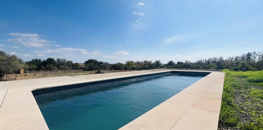 Finca Binissalem, Mallorca, Spanien 2 Schlafzimmer, 63 m2 Nr. 139111