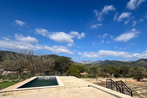 Finca zum Verkauf Binissalem, Mallorca, Spanien 2 Schlafzimmer, 63 m2 Nr. 139111 - Foto 2