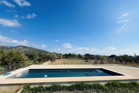 Finca zum Verkauf Binissalem, Mallorca, Spanien 2 Schlafzimmer, 63 m2 Nr. 139111 - Foto 15