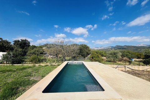 Finca zum Verkauf Binissalem, Mallorca, Spanien 2 Schlafzimmer, 63 m2 Nr. 139111 - Foto 14