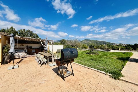 Finca zum Verkauf Binissalem, Mallorca, Spanien 2 Schlafzimmer, 63 m2 Nr. 139111 - Foto 13