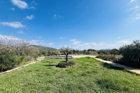 Finca zum Verkauf Binissalem, Mallorca, Spanien 2 Schlafzimmer, 63 m2 Nr. 139111 - Foto 3