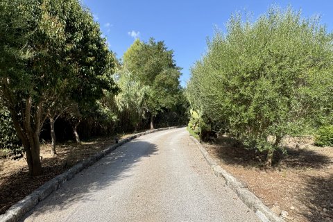 Finca for rent Pollenca, Mallorca, Spain 3 bedrooms, 218 sq.m. No. 139114 - photo 30