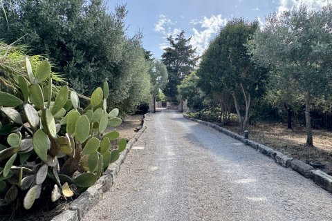 Finca for rent Pollenca, Mallorca, Spain 3 bedrooms, 218 sq.m. No. 139114 - photo 29