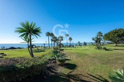 Kattohuoneisto myytävänä Estepona, Malaga, Espanja, 3 makuuhuonetta, 288 m2 No. 157389 - kuva 24