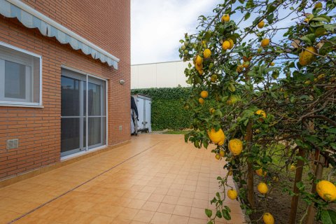 Appartamento in vendita a Pineda de Mar, Barcelona, Spagna 4 camere da letto, 143 mq. N° 180534 - foto 27