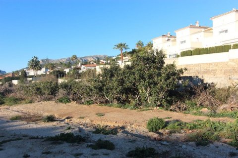 Land plot à vendre Calpe, Alicante, EspagneNo. 80789 - photo 3
