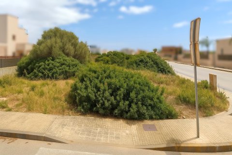 Działka w Sa Rapita, Mallorca, Hiszpania 920 mkw. nr 140534 – zdjęcie 2