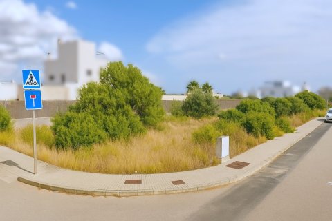 Działka w Sa Rapita, Mallorca, Hiszpania 920 mkw. nr 140534 – zdjęcie 1