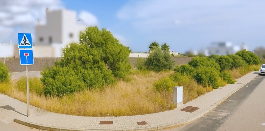 Działka w Sa Rapita, Mallorca, Hiszpania 920 mkw. nr 140534