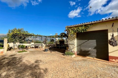 Finka w Inca, Mallorca, Hiszpania 6 sypialni, 696 mkw. nr 140535 – zdjęcie 6