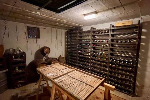 Finka w Inca, Mallorca, Hiszpania 6 sypialni, 696 mkw. nr 140535 – zdjęcie 19