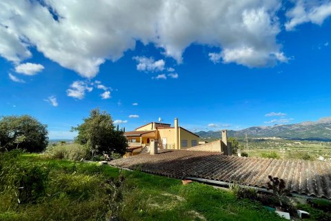 Finka w Inca, Mallorca, Hiszpania 6 sypialni, 696 mkw. nr 140535 – zdjęcie 21