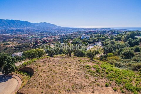 Land plot for sale Ojen, Malaga, Spain 15399 sq.m. No. 49403 - photo 9