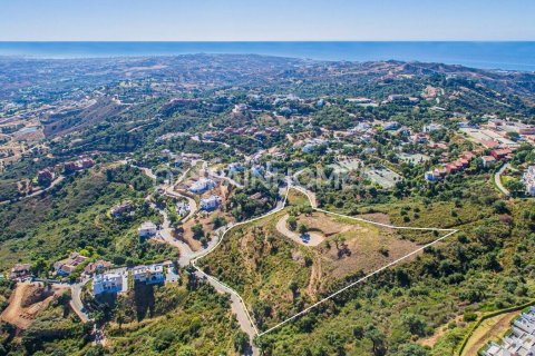 Land plot for sale Ojen, Malaga, Spain 15399 sq.m. No. 49403 - photo 3